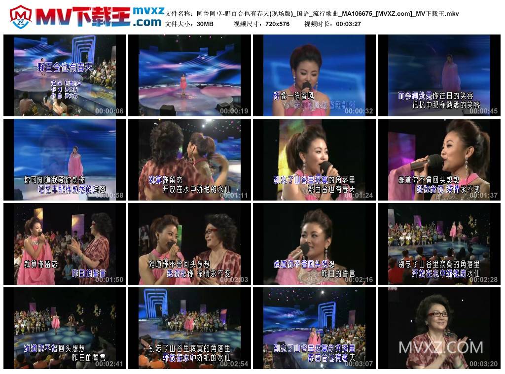 阿鲁阿卓-野百合也有春天(现场版)_国语_流行歌曲_MA106675